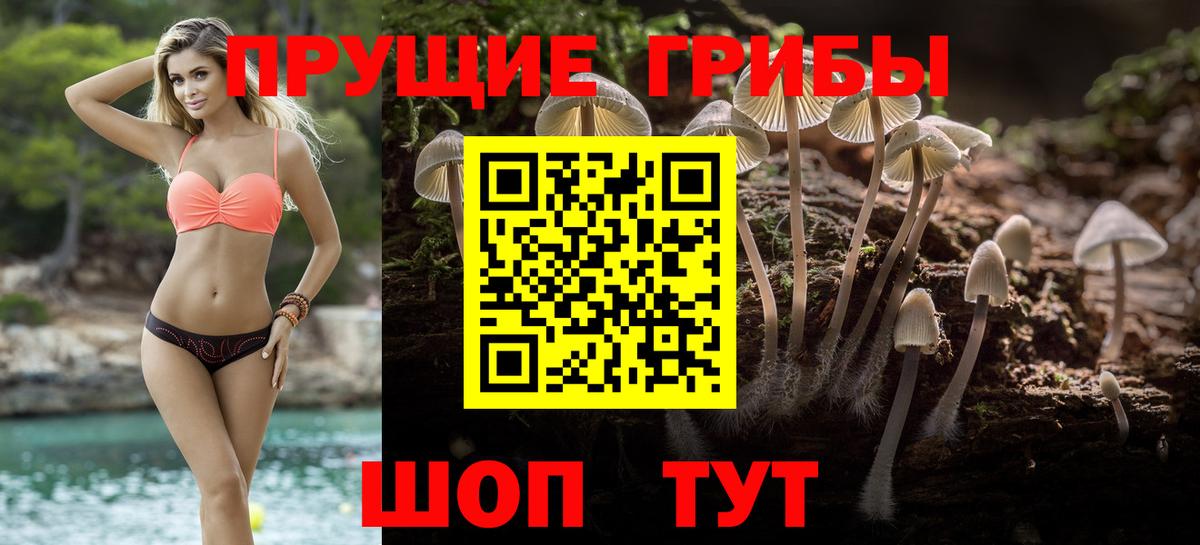 Галлюциногенные грибы GOLDEN TEACHER  Вход с VPN  Кольчугино  Галлюциногенные грибы GOLDEN TEACHER 