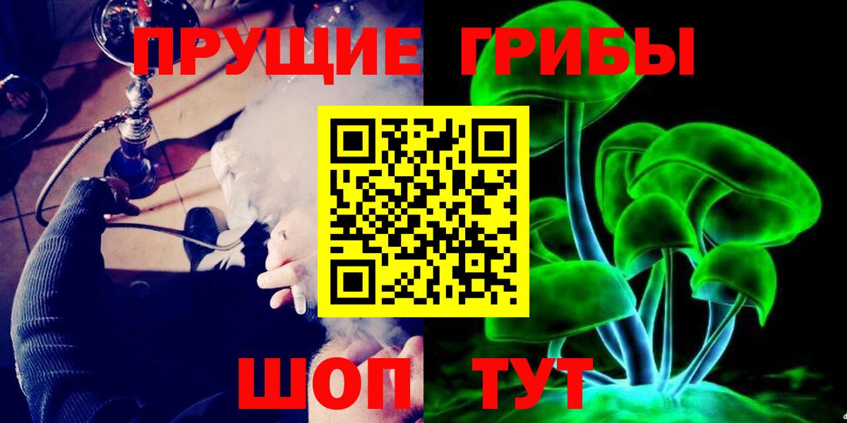 Псилоцибиновые грибы прущие грибы Кольчугино
