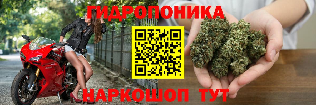 Канабис MAZAR Кольчугино